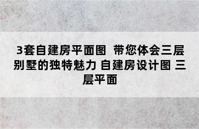 3套自建房平面图  带您体会三层别墅的独特魅力 自建房设计图 三层平面